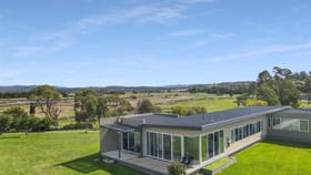 Rural / Farming commercial property for sale at 170 Binalong Bay Road St Helens TAS 7216