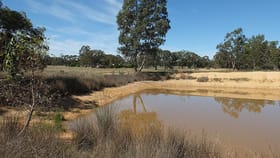 Rural / Farming commercial property for sale at CA 19 Sunraysia HIghway Avoca VIC 3467