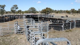 Rural / Farming commercial property for sale at "NARRAN PARK" Brewarrina NSW 2839