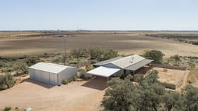Rural / Farming commercial property for sale at 281 Wauchopes Road Port Pirie SA 5540