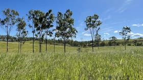 Rural / Farming commercial property for sale at Mount Perry QLD 4671