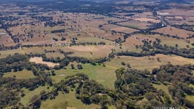 Rural / Farming commercial property for sale at 1816 Great Alpine Road Everton VIC 3678