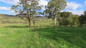 Rural / Farming commercial property for sale at Buckandor/572 Tablelands Road Red Range NSW 2370