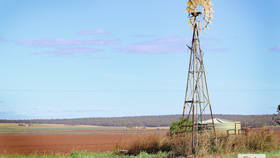 Rural / Farming commercial property for sale at Ernst Road Mount Molar QLD 4361