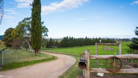 Rural / Farming commercial property for sale at 634 Wyndham Lane Bega NSW 2550