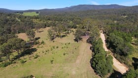 Rural / Farming commercial property for sale at 6 Genoa St Towamba NSW 2550