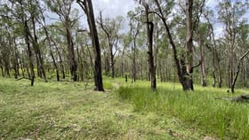 Rural / Farming commercial property for sale at Getaway/. Lands End Road Red Range NSW 2370