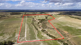 Rural / Farming commercial property for sale at 237 Bunter Way Howatharra WA 6532