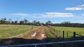 Rural / Farming commercial property for sale at 339 Back Creek Rd Pipers River TAS 7252