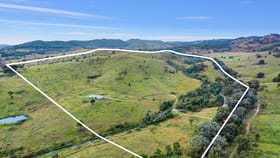 Rural / Farming commercial property for sale at 595 Pyramul Road Mudgee NSW 2850