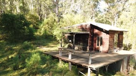 Rural / Farming commercial property for sale at 535 Hawks Head Road Brogo NSW 2550