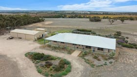 Rural / Farming commercial property for sale at 111 Schultz Road Strathalbyn SA 5255