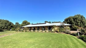 Rural / Farming commercial property for sale at Arcadia Pines - 1484 Arcadia Lane Goolgowi NSW 2652