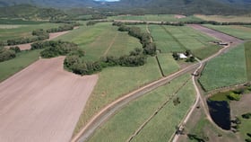 Rural / Farming commercial property for sale at Brightly QLD 4741