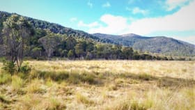 Rural / Farming commercial property for sale at Lot 56 Kennedy's Road Yaouk NSW 2629