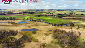 Rural / Farming commercial property for sale at 1574 Shannon Vale Road Shannon Vale NSW 2370