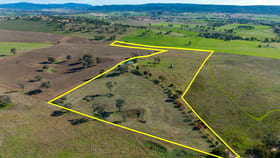 Rural / Farming commercial property for sale at 81 Bowens Lane Cudal NSW 2864