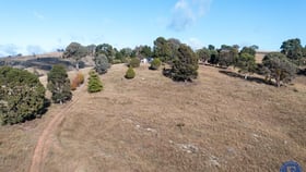 Rural / Farming commercial property for sale at 2591 Taylors Flat Road Taylors Flat NSW 2586
