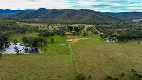 Rural / Farming commercial property for sale at Monto QLD 4630