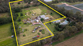 Rural / Farming commercial property for sale at Wamuran QLD 4512