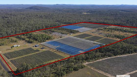 Rural / Farming commercial property for sale at 188 Parker Road Wells Crossing NSW 2460