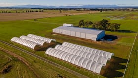 Rural / Farming commercial property for sale at Cressy TAS 7302