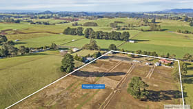Rural / Farming commercial property for sale at Ridgley TAS 7321