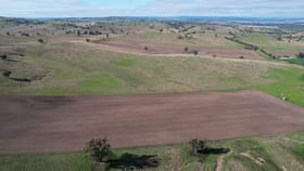Rural / Farming commercial property for sale at Fairfield Park Aggregation Wagga Wagga NSW 2650