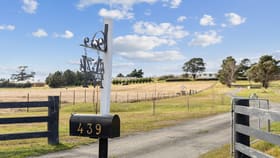 Rural / Farming commercial property for sale at 439 Windellama Road Goulburn NSW 2580