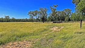 Rural / Farming commercial property for sale at 20/ Hain Road Stonehenge QLD 4357