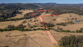 Rural / Farming commercial property for sale at 1 Waverley Road Hillville NSW 2430