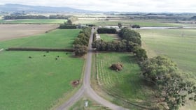 Rural / Farming commercial property for sale at 936 Bishopsbourne Road Bishopsbourne TAS 7301