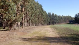Rural / Farming commercial property for sale at Lots 3 & 7 Pomeroy Road Manjimup WA 6258