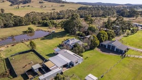 Rural / Farming commercial property for sale at 976 Leggetts Drive Mount Vincent NSW 2323