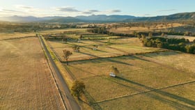 Rural / Farming commercial property for sale at 164 Upper Dartbrook Road Scone NSW 2337