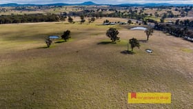 Rural / Farming commercial property for sale at 7943 Castlereagh Highway Mudgee NSW 2850