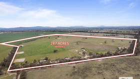 Rural / Farming commercial property for sale at 240 Valley View Road Greens Creek VIC 3387