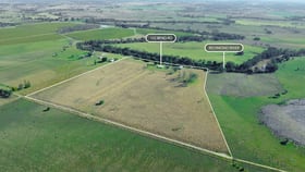 Rural / Farming commercial property for sale at 165 Bend Road Casino NSW 2470