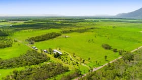 Rural / Farming commercial property for sale at 242 Webb Road Majors Creek QLD 4816