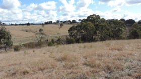 Rural / Farming commercial property for sale at 319 Boxers Creek Road Boxers Creek NSW 2580