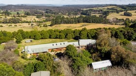 Rural / Farming commercial property for sale at 15-23 Charlotte Street Robertson NSW 2577