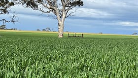 Rural / Farming commercial property for sale at . 'Corrylynne' Dowerin WA 6461