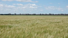 Rural / Farming commercial property for sale at 160 WITTENOOM ROAD Neridup WA 6450