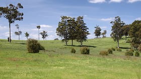 Rural / Farming commercial property for sale at Lot 108 Wetherall Road Quinninup WA 6258