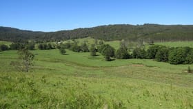 Rural / Farming commercial property sold at 2788 Kangaroo Creek Rd Kangaroo Creek NSW 2460