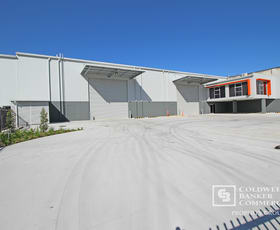 Factory, Warehouse & Industrial commercial property leased at 49 (Lot 381) Motorway Circuit Ormeau QLD 4208