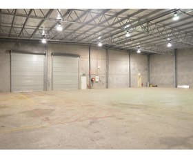Factory, Warehouse & Industrial commercial property leased at 48 Mustang Drive Rutherford NSW 2320
