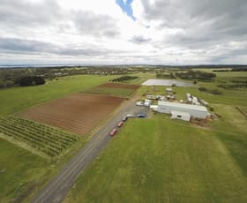 Rural / Farming commercial property leased at 2102 Phillip Island Road Cowes VIC 3922