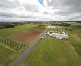 Rural / Farming commercial property leased at 2102 Phillip Island Road Cowes VIC 3922