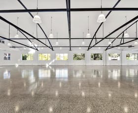 Showrooms / Bulky Goods commercial property leased at Level 1/93A Shepherd Street Chippendale NSW 2008